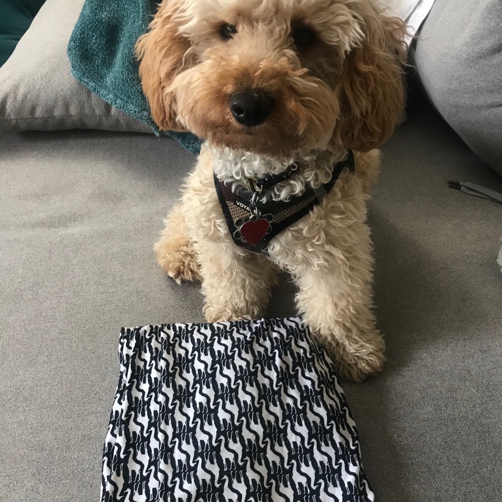 LuLaRoe OS Giraffe Leggings (dog not included)